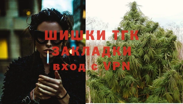 кокс Арсеньев