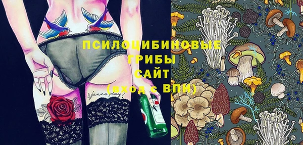 кокс Арсеньев