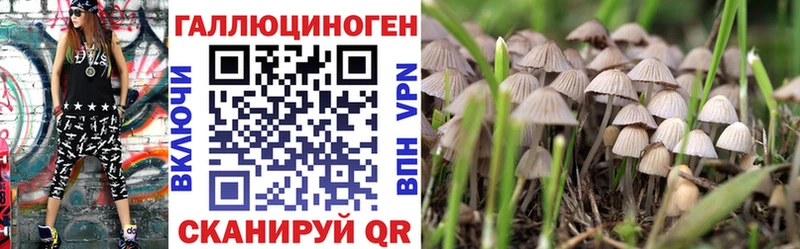 Купить  Тайга  Галлюциногенные грибы Psilocybine cubensis 